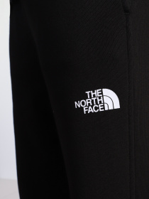 Штаны спортивные The North Face Standard модель NF0A4M7LJK31 Фото