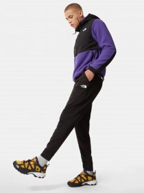 Брюки повседневные The North Face Surgent модель NF0A3UWIJK31 Фото