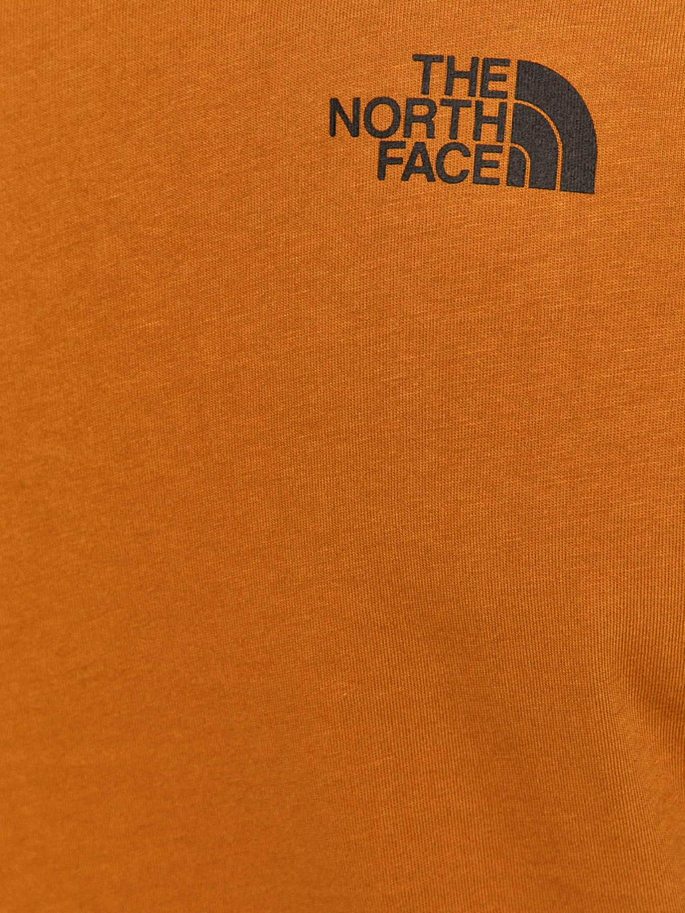 Футболки и поло The North Face S/S Fine Tee модель NF00CEQ5VC71 Фото