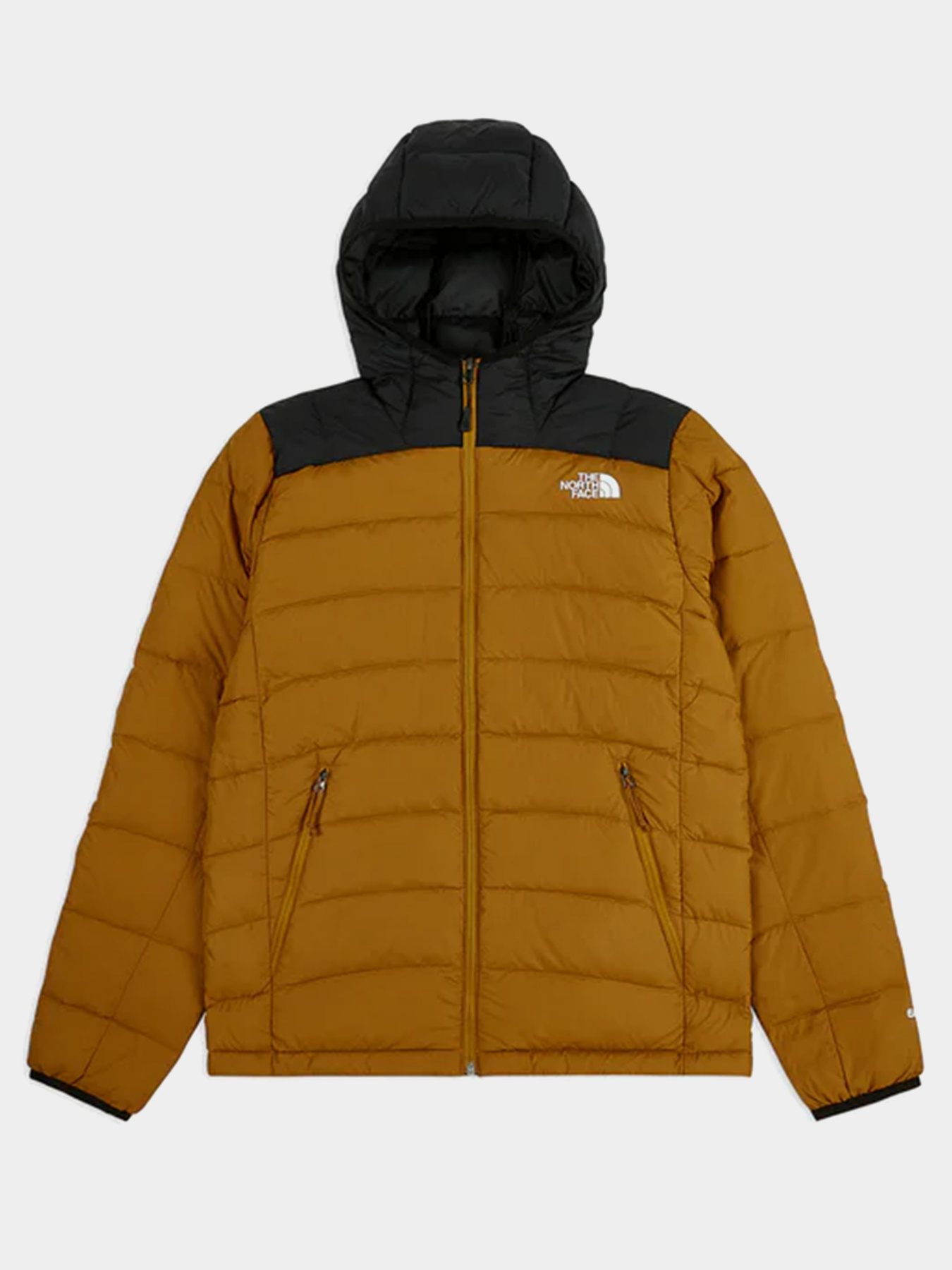 Куртка The North Face Lapaz модель NF00CYG9VC71 Фото