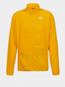 Кофта The North Face 100 Glacier модель NF0A2UAQ56P1 Фото