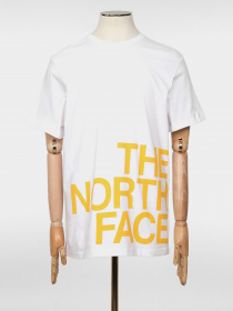 Футболки и поло The North Face SS Graphic Flow 1 модель NF0A4926TU21 Фото