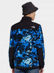 Кофта The North Face Denali 2 модель NF0A4QYJV171 Фото