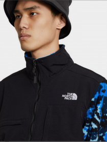 Кофта The North Face Denali 2 модель NF0A4QYJV171 Фото