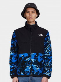 Кофта The North Face Denali 2 модель NF0A4QYJV171 Фото