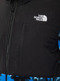 Кофта The North Face Denali 2 модель NF0A4QYJV171 Фото