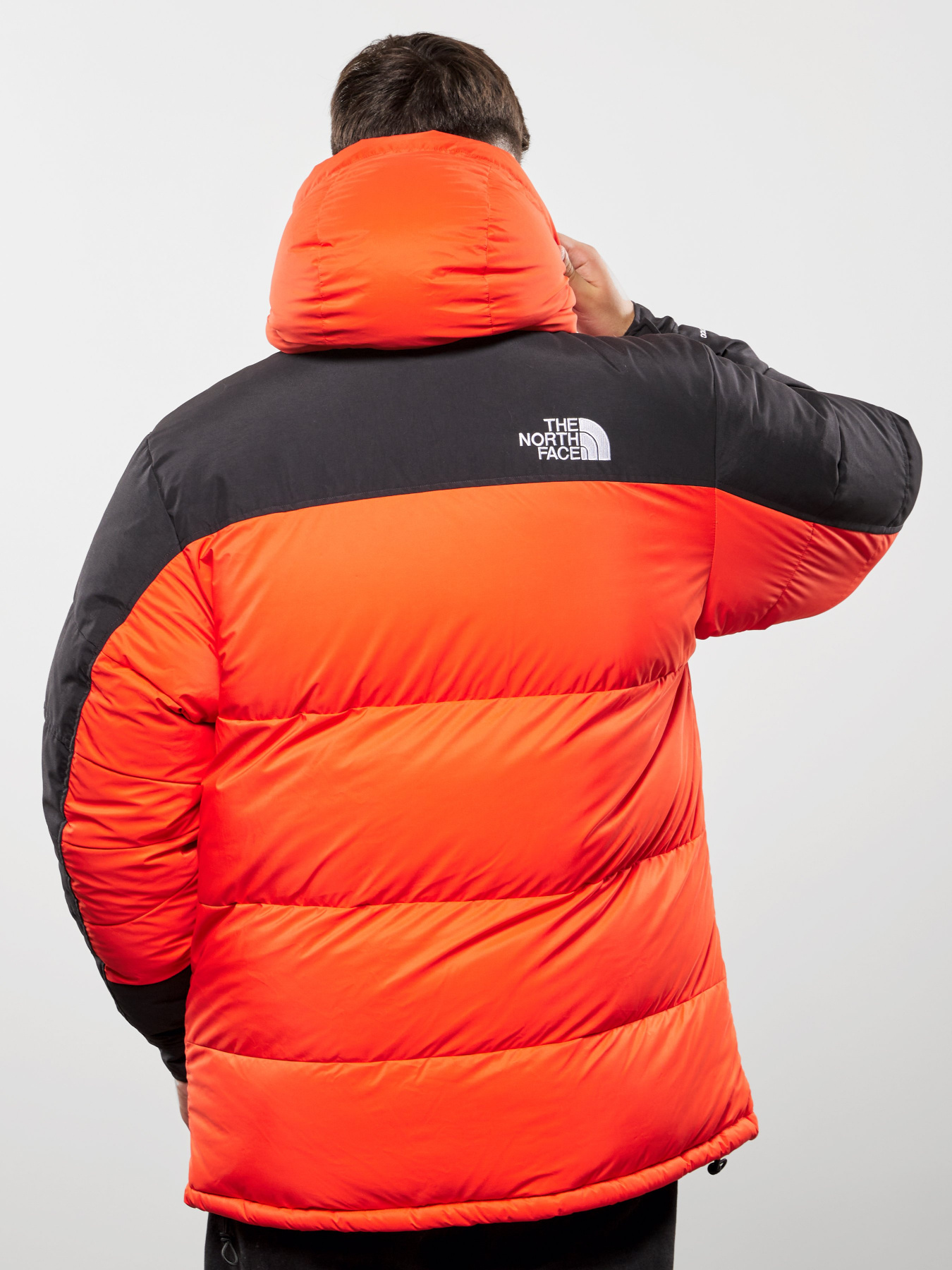 Зимняя куртка The North Face 1994 Retro Himalayan модель NF0A4QYPR151 Зимняя куртка The North Face 1994 Retro Himalayan модель NF0A4QYPR151 Фото