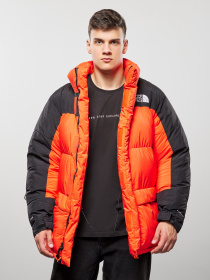 Зимняя куртка The North Face 1994 Retro Himalayan модель NF0A4QYPR151 Зимняя куртка The North Face 1994 Retro Himalayan модель NF0A4QYPR151 Фото
