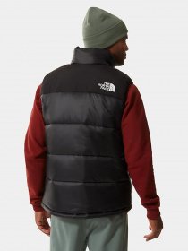 Жилет с утеплителем The North Face Bombay Vest модель NF0A4QZ4JK31 Фото