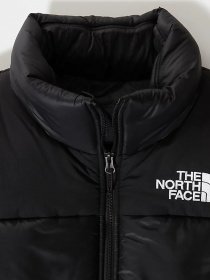 Утепленный жилет The North Face Bombay Vest модель NF0A4QZ4JK31 Фото