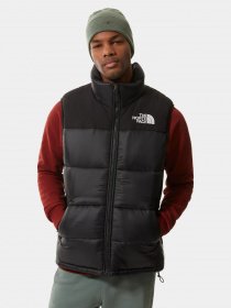 Утепленный жилет The North Face Bombay Vest модель NF0A4QZ4JK31 Фото