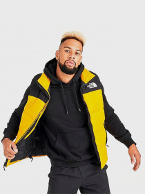 Жилет з утеплювачем The North Face Bombay Vest модель NF0A4QZ4ZU31 Фото