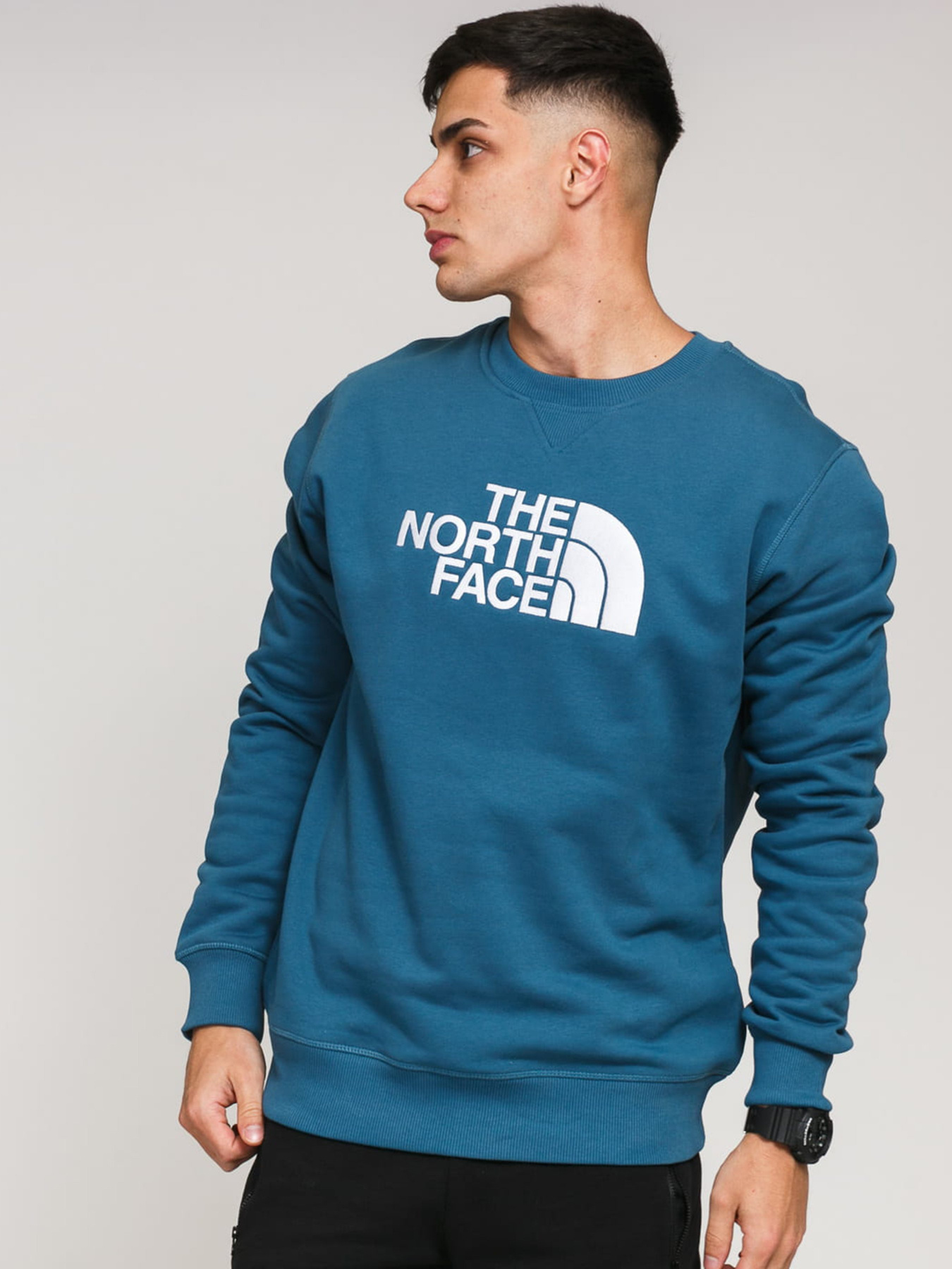 Свитшот The North Face Drew Peak модель NF0A4SVRTAS1 Фото