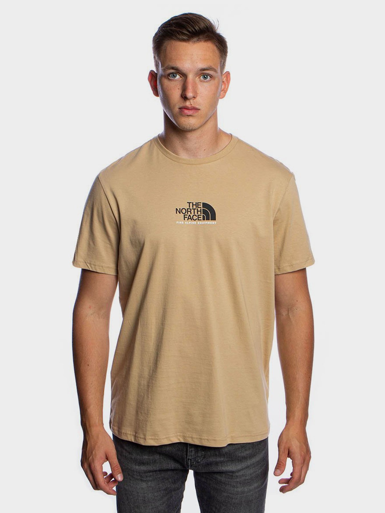 Футболки і поло The North Face S/S Fine Alpine Equipment модель NF0A4SZUH7E1 Фото