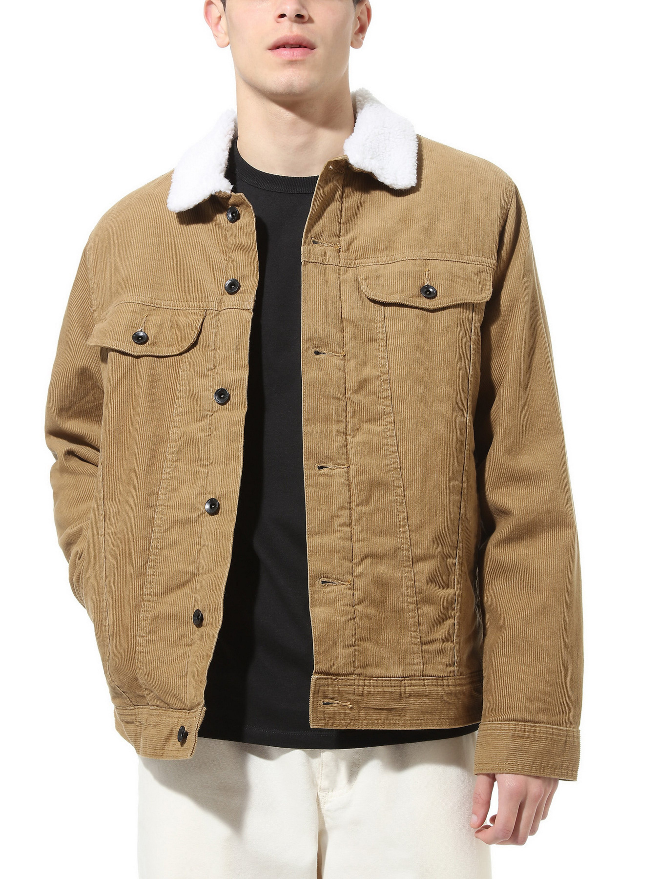 Демисезонная куртка Vans SKYLARK II модель VN0A4RQMDZ91 Фото