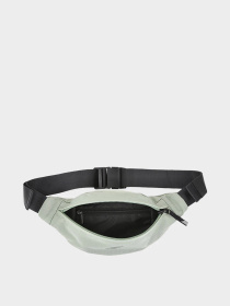 Поясная сумка 4F F074 модель 4FWSS24AWAIF074-47S Фото