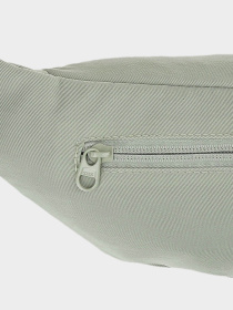 Поясна сумка 4F F074 модель 4FWSS24AWAIF074-47S Фото