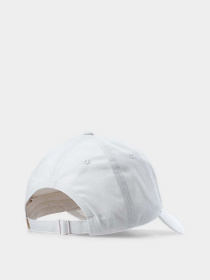 Кепка 4F F279 модель 4FWSS24ACABF279-83S Фото