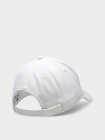 Кепка 4F Midshop модель 4FSS23ACABF114-12S Фото