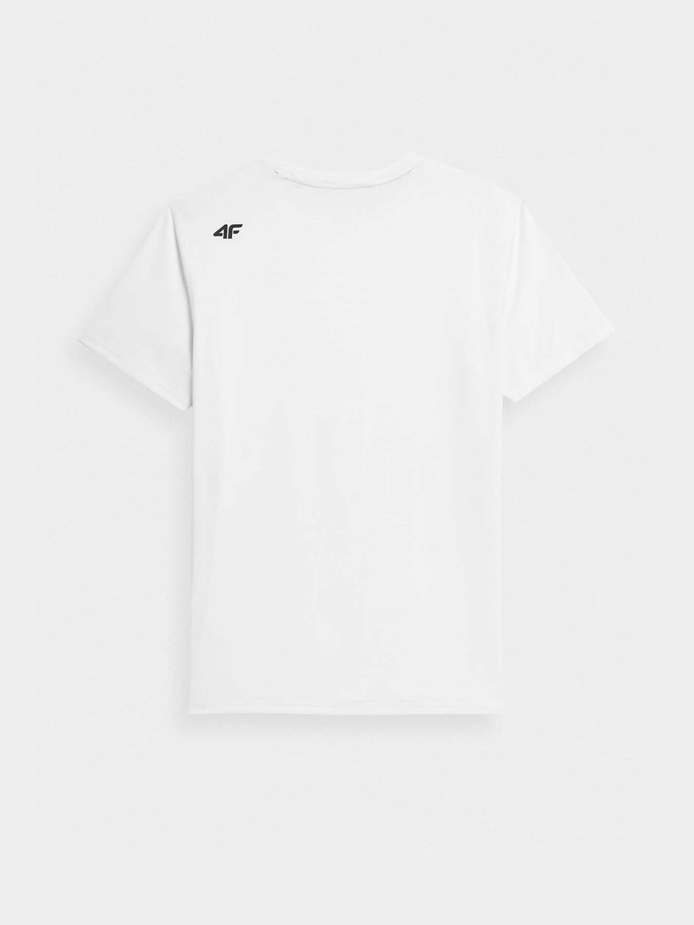 Футболка спортивна 4F Basic модель 4FSS23TFTSM259-10S Фото