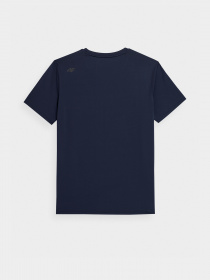 Футболка спортивная 4F Basic модель 4FSS23TFTSM259-31S Фото