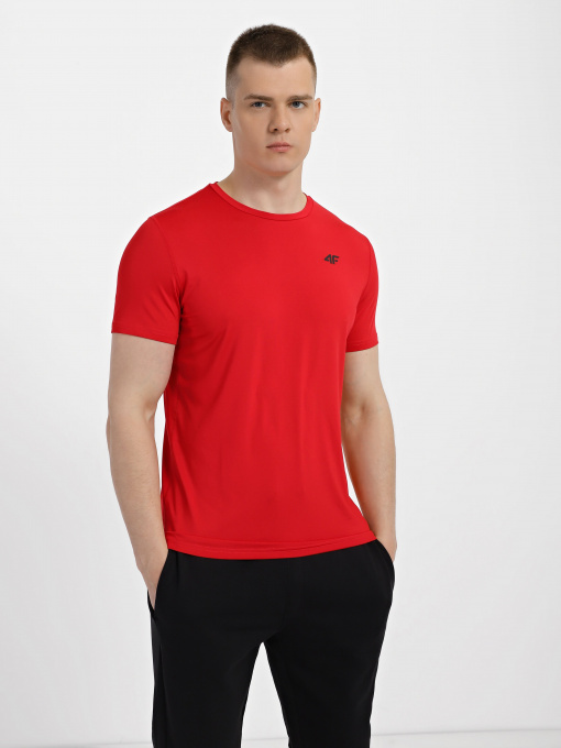 Футболка спортивная 4F Basic модель 4FSS23TFTSM259-62S Фото