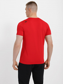 Спортивна футболка 4F Basic модель 4FSS23TFTSM259-62S Фото