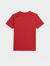 Спортивна футболка 4F Basic модель 4FSS23TFTSM259-62S Фото