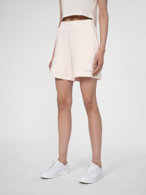 Шорты 4F Beachwear Passion модель 4FSS23TSHOF172-12S Фото