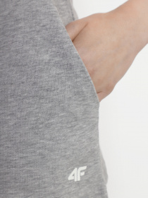 Повсякденні шорти 4F NOS модель 4FSS23TSHOF175-27M Фото