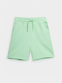 Шорти 4F Energetic Code модель 4FSS23TSHOF199-42S Фото