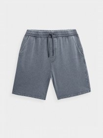 Шорты 4F Modern Explorer модель 4FSS23TSHOM052-22S Фото