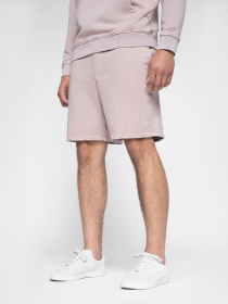 Повсякденні шорти 4F Modern Explorer модель 4FSS23TSHOM052-65S Фото