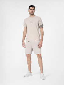 Шорты 4F Modern Explorer модель 4FSS23TSHOM052-83S Фото