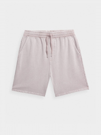 Шорты 4F Modern Explorer модель 4FSS23TSHOM052-83S Фото