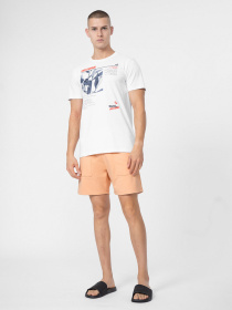 Шорты 4F Heat Wave модель 4FSS23TSHOM074-64S Фото