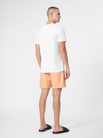 Шорты 4F Heat Wave модель 4FSS23TSHOM074-64S Фото