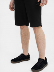 Повседневные шорты 4F модель 4FSS23TSHOM085-20S Фото