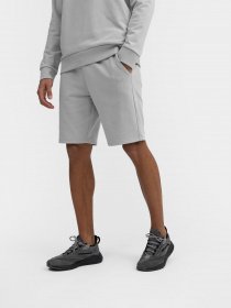 Шорты 4F Basic+ модель 4FSS23TSHOM085-25S Фото