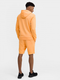 Шорты 4F Basic+ модель 4FSS23TSHOM085-64S Фото