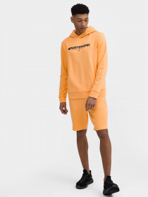 Повсякденні шорти 4F Basic+ модель 4FSS23TSHOM085-64S Фото