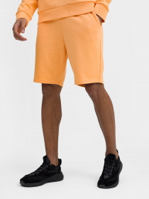 Повседневные шорты 4F Basic+ модель 4FSS23TSHOM085-64S Фото