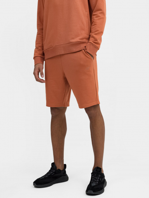 Шорти 4F Basic+ Модель 4FSS23TSHOM085-81S Фото