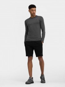 Шорты 4F модель 4FSS23TSHOM156-20S Фото