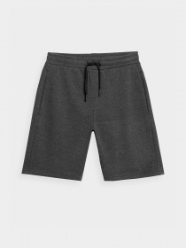 Повсякденні шорти 4F NOS модель 4FSS23TSHOM156-23M Фото