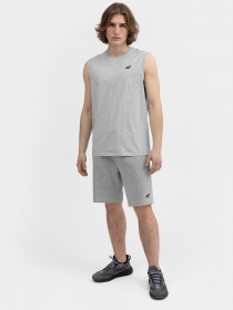 Шорты 4F модель 4FSS23TSHOM156-27M Фото