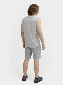 Шорты 4F модель 4FSS23TSHOM156-27M Фото