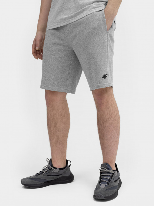 Шорти 4F Модель 4FSS23TSHOM156-27M Фото