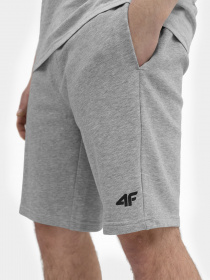 Повсякденні шорти 4F модель 4FSS23TSHOM156-27M Повсякденні шорти 4F модель 4FSS23TSHOM156-27M Фото