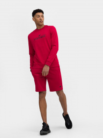 Шорты 4F модель 4FSS23TSHOM156-62S Фото